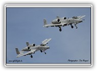 A-10 USAF 80-0187 DM